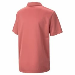 PUMA Golf Boy's Junior Essential Golf Polo -Golf Clubs Sales 2023 fes6ofav9eq3lyo5z2zf