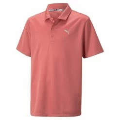 PUMA Golf Boy's Junior Essential Golf Polo -Golf Clubs Sales 2023 h0mfg12at8nd9npd6168