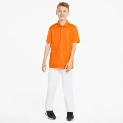 PUMA Golf Boy's Junior Essential Golf Polo -Golf Clubs Sales 2023 hxqrpsol0ijfylgima7q