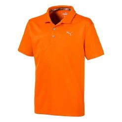 PUMA Golf Boy's Junior Essential Golf Polo -Golf Clubs Sales 2023 oena0wg6p8bpipce7yxe